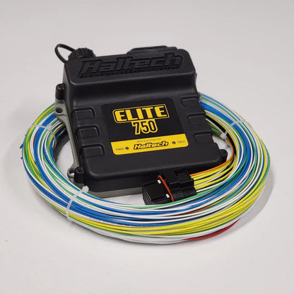 Tefzel Wire-in Harness for Haltech