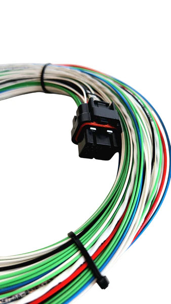 Tefzel Wire-in Harness for Haltech