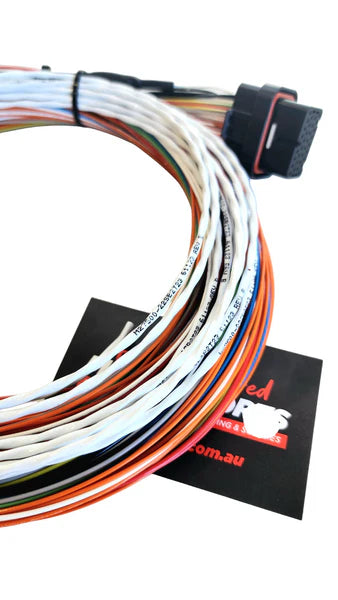 Tefzel Wire-in Harness for Link