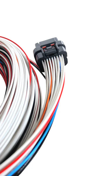Tefzel Wire-in Harness for Haltech